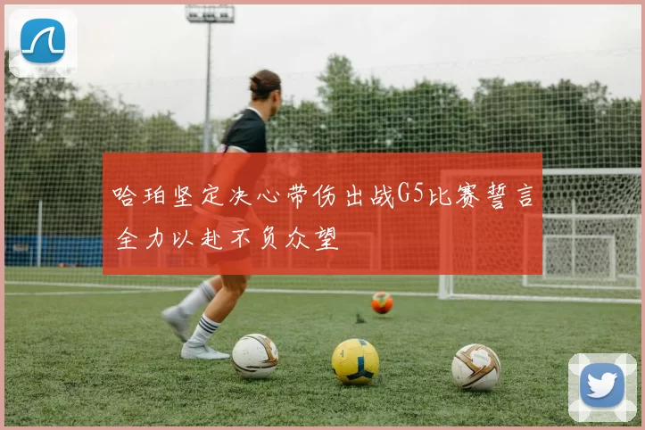 哈珀坚定决心带伤出战G5比赛誓言全力以赴不负众望